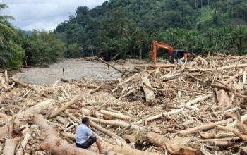 Sampah Kayu banjir bandang Sumatra
