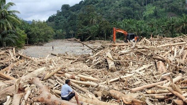 Sampah Kayu banjir bandang Sumatra