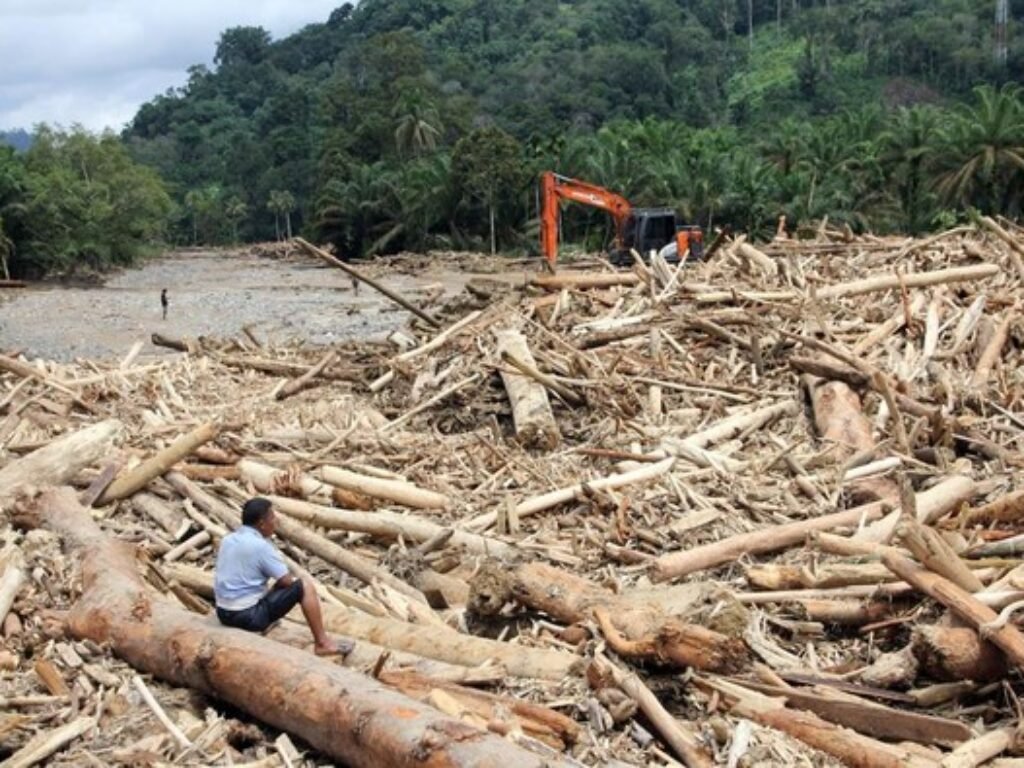 Misteri Gelondongan Kayu dari Banjir Sumatera: Alam Berteriak, Negara Pure-pure Lupa