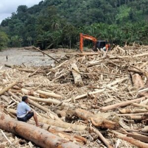 Sampah Kayu banjir bandang Sumatra