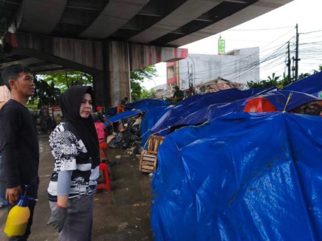 Sampah Jadi “Instalasi Seni” Gunungan DI Flyover Ciputat Ditutup Terpal