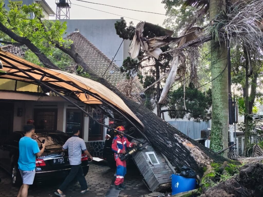 Warga Kota Bandung Ancam Somasi DPKP Akibat Lalai Tertibkan Pohon Raksasa Ratusan Tahun, KiniTumbang Merusak Rumah di Cihapit
