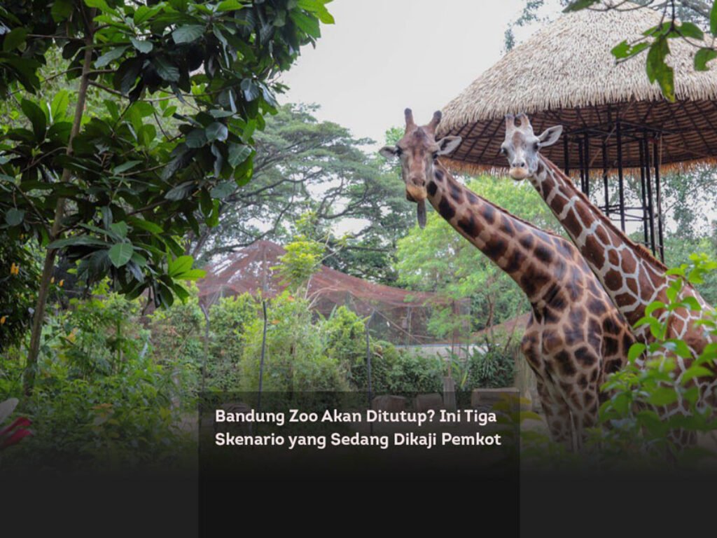 Bandung Zoo Akan Ditutup? Ini Tiga Skenario yang Sedang Dikaji Pemkot