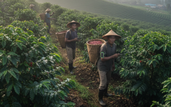 Gemini Generated Image 9l9dnz9l9dnz9l9d