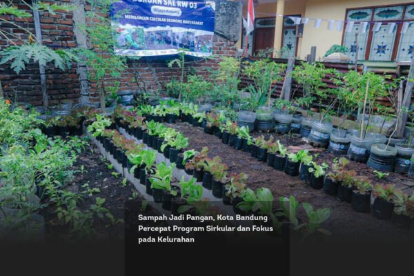 Sampah Jadi Pangan, Kota Bandung Percepat Program Sirkular dan Fokus pada Kelurahan