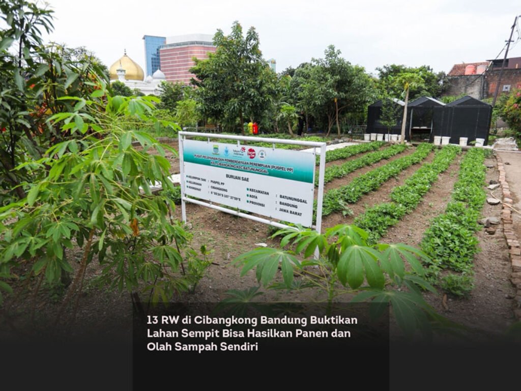13 RW di Cibangkong Bandung Buktikan Lahan Sempit Bisa Hasilkan Panen dan Olah Sampah Sendiri
