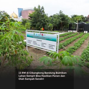 13 RW di Cibangkong Bandung Buktikan Lahan Sempit Bisa Hasilkan Panen dan Olah Sampah Sendiri