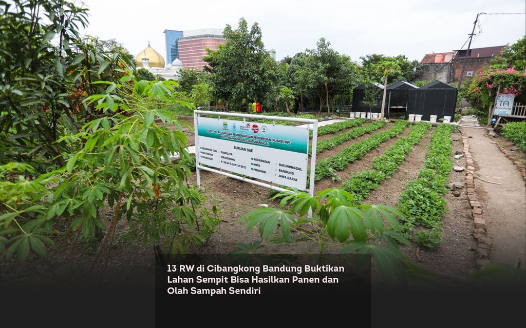 13 RW di Cibangkong Bandung Buktikan Lahan Sempit Bisa Hasilkan Panen dan Olah Sampah Sendiri locusonline featured image Feb
