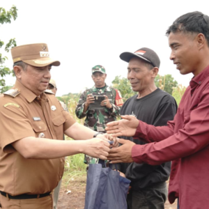 Panen Raya atau Panen Panggung? Jagung 150 Hektar Katanya Simbol Ketahanan Pangan Garut