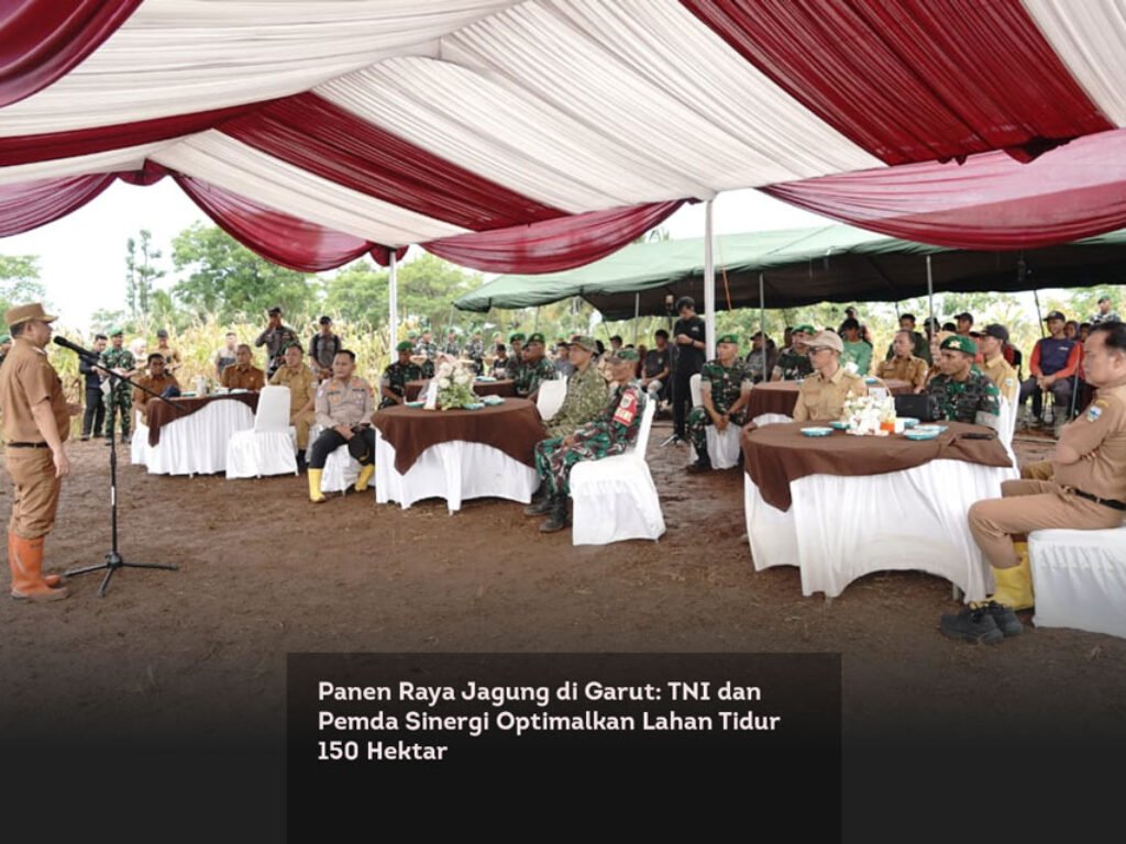Panen Raya Jagung di Garut: TNI dan Pemda Sinergi Optimalkan Lahan Tidur 150 Hektar