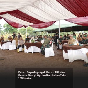 Panen Raya Jagung di Garut: TNI dan Pemda Sinergi Optimalkan Lahan Tidur 150 Hektar