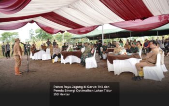 Panen Raya Jagung di Garut: TNI dan Pemda Sinergi Optimalkan Lahan Tidur 150 Hektar