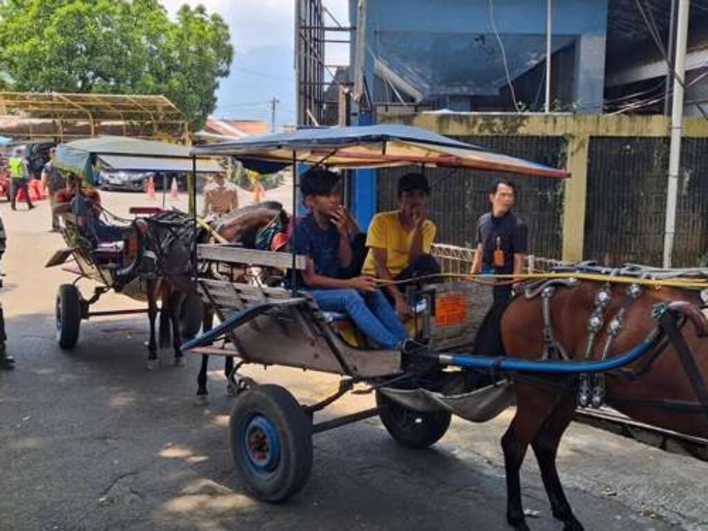 Mudik Harus Lancar, Delman Diminta Libur Dulu: Pemerintah Siapkan “Uang Diam” untuk Kusir dan Tukang Becak