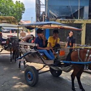 Mudik Harus Lancar, Delman Diminta Libur Dulu: Pemerintah Siapkan “Uang Diam” untuk Kusir dan Tukang Becak