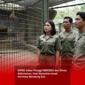 DPRD Jabar Panggil BBKSDA dan Dinas Kehutanan, Usai Kematian Anak Harimau Bandung Zoo