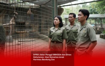 DPRD Jabar Panggil BBKSDA dan Dinas Kehutanan, Usai Kematian Anak Harimau Bandung Zoo