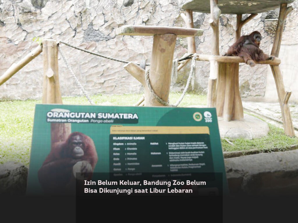 Izin Belum Keluar, Bandung Zoo Belum Bisa Dikunjungi saat Libur Lebaran