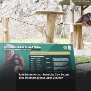 Izin Belum Keluar, Bandung Zoo Belum Bisa Dikunjungi saat Libur Lebaran