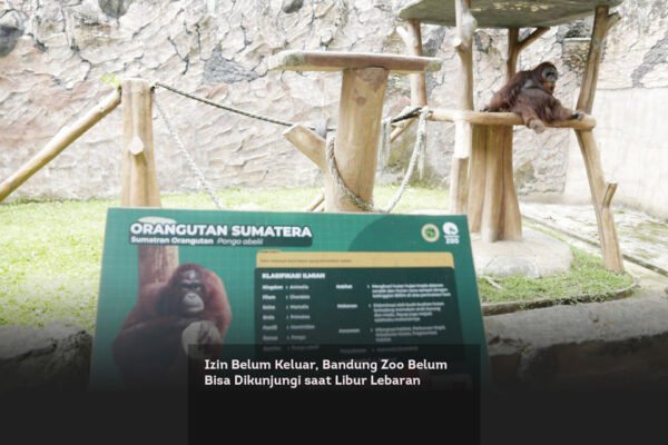 Izin Belum Keluar, Bandung Zoo Belum Bisa Dikunjungi saat Libur Lebaran locusonline featured image Mar 2026