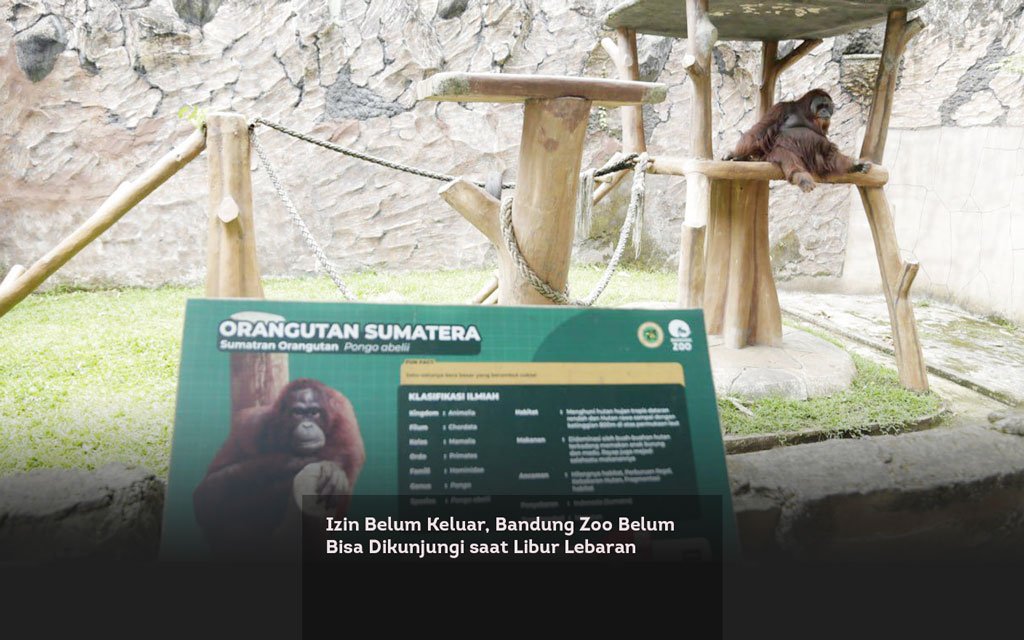 Izin Belum Keluar, Bandung Zoo Belum Bisa Dikunjungi saat Libur Lebaran locusonline featured image Mar 2026