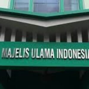 MUI Minta RI Angkat Kaki dari Board of Peace: Damai Kok Ditemani Bom?