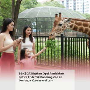 BBKSDA Siapkan Opsi Pindahkan Satwa Endemik Bandung Zoo ke Lembaga Konservasi Lain