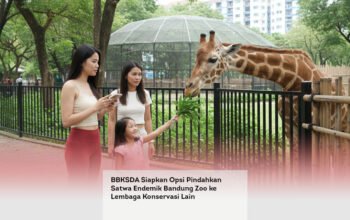 BBKSDA Siapkan Opsi Pindahkan Satwa Endemik Bandung Zoo ke Lembaga Konservasi Lain