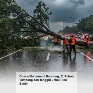 Cuaca Ekstrem di Bandung, 31 Pohon Tumbang dan Tanggul Jebol Picu Banjir