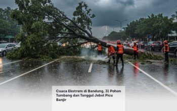 Cuaca Ekstrem di Bandung, 31 Pohon Tumbang dan Tanggul Jebol Picu Banjir
