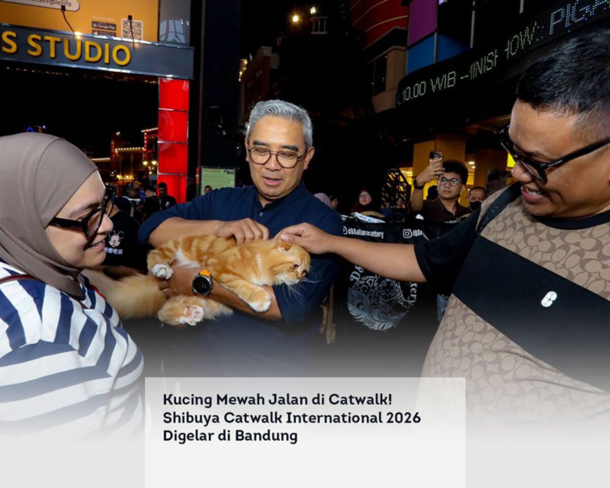 Kucing Mewah Jalan di Catwalk! Shibuya Catwalk International 2026 Digelar di Bandung