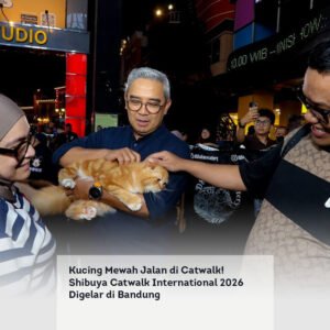 Kucing Mewah Jalan di Catwalk! Shibuya Catwalk International 2026 Digelar di Bandung