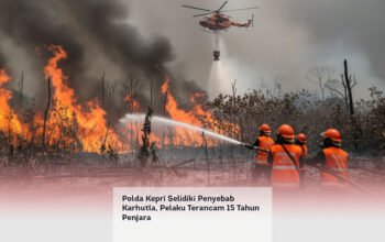 Polda Kepri Selidiki Penyebab Karhutla, Pelaku Terancam 15 Tahun Penjara